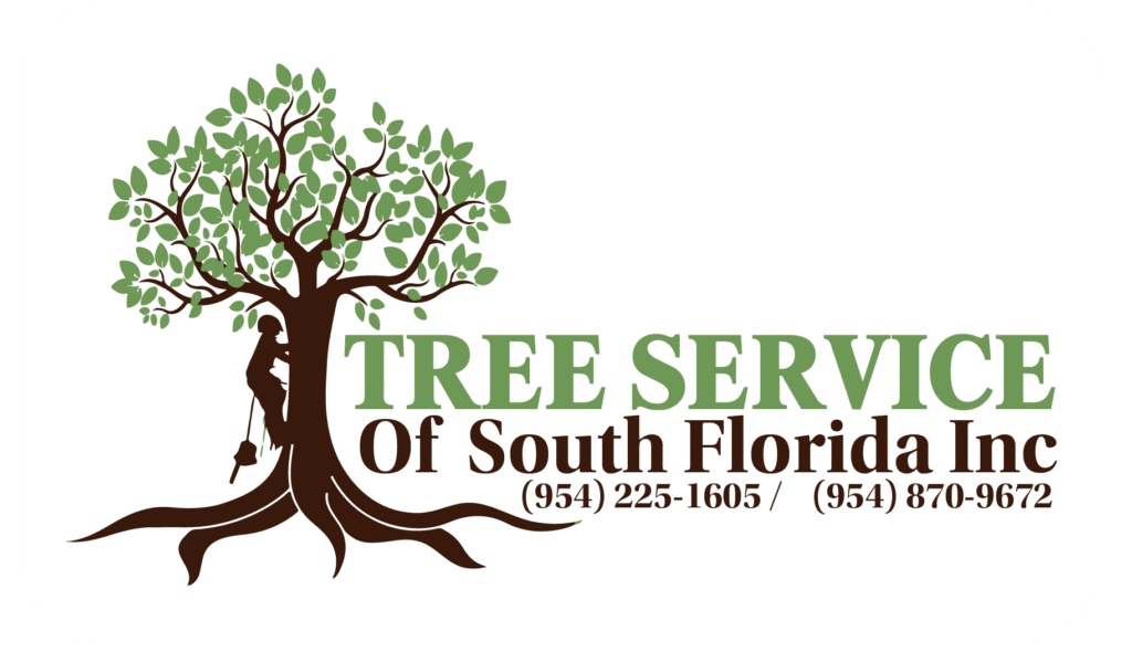 Sin titulo 1 Mesa de trabajo 1 e1762976876293