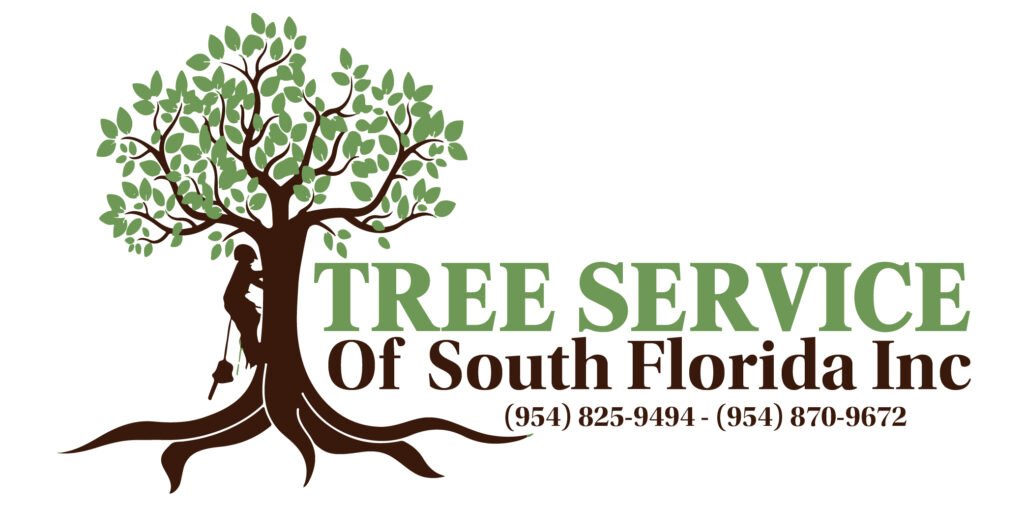 editable cambio 2026 03