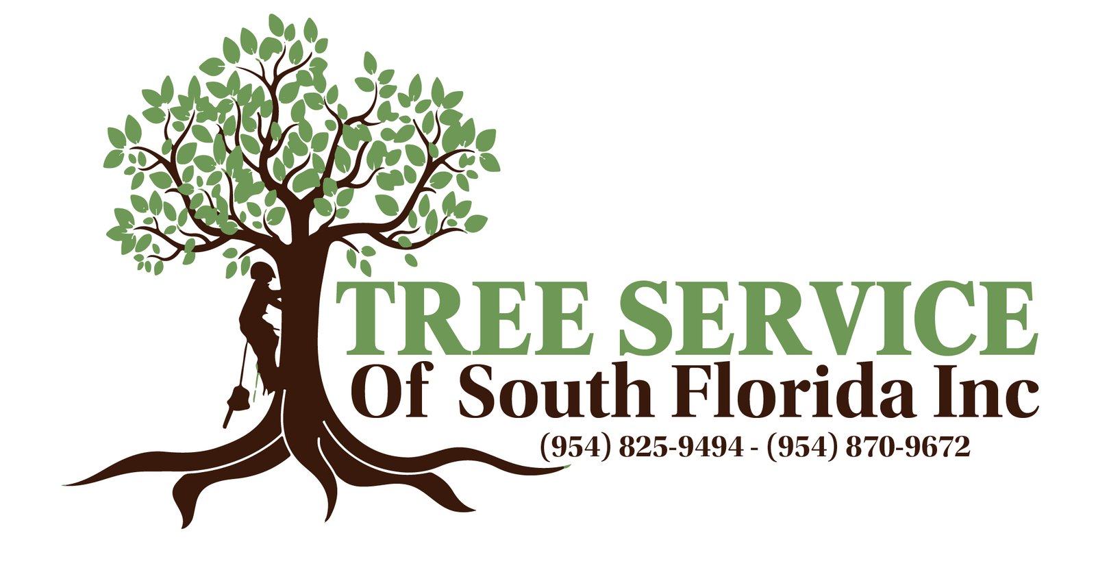 editable cambio 2026 03