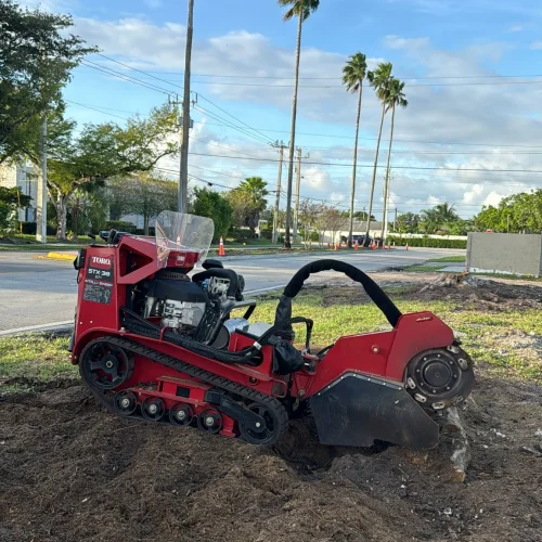 Tree Service Of South Florida Inc 4